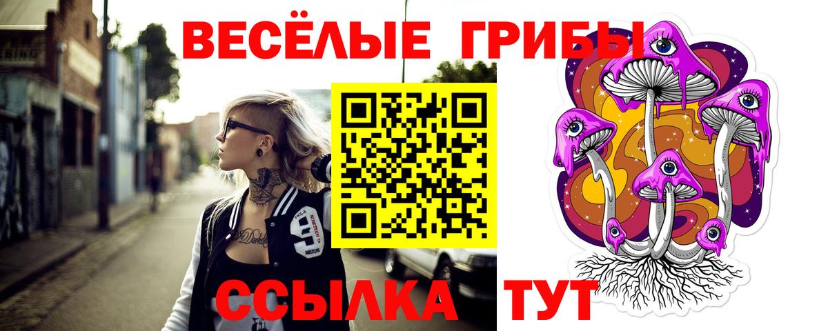 Алексин  Галлюциногенные грибы Psilocybe  Вход с VPN 